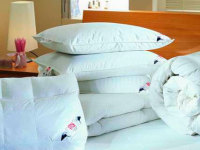 Правильная подушка для сна: как выбрать лучшую