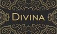 логотип divina