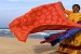 Индийские ткани: прекрасные послания через века