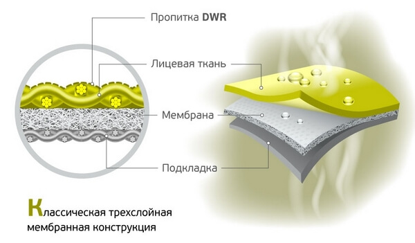 строение мембранной ткани